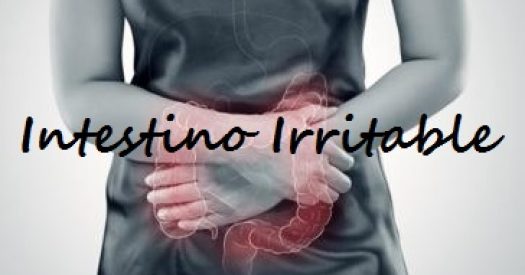 intestino irritable